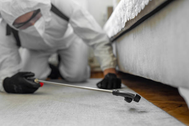 Professional Bed Bug Control technician working in Greenbriar, FL